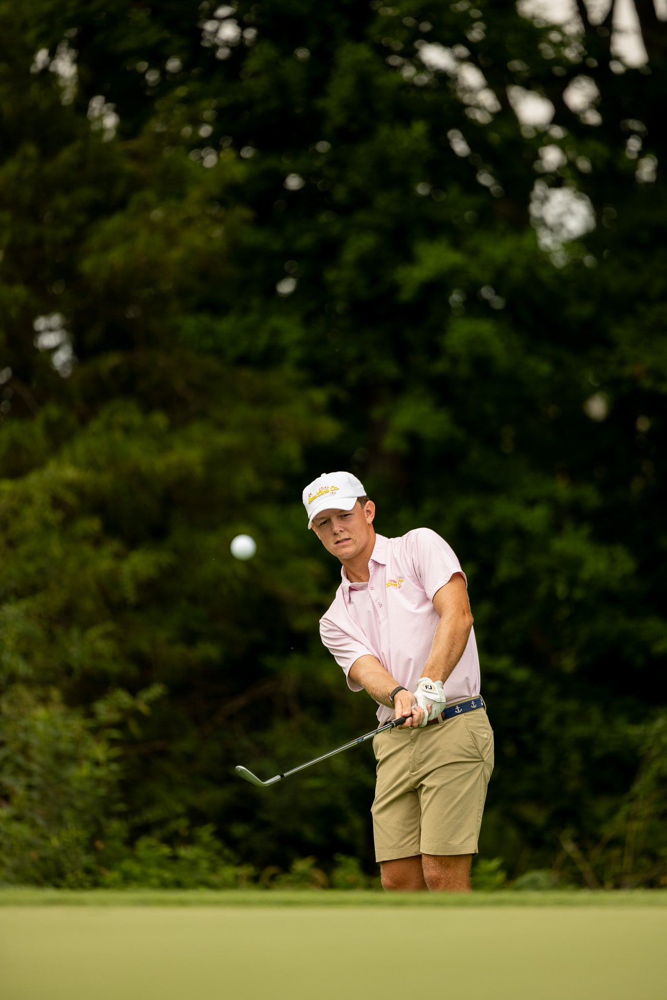 The Azalea Polo
